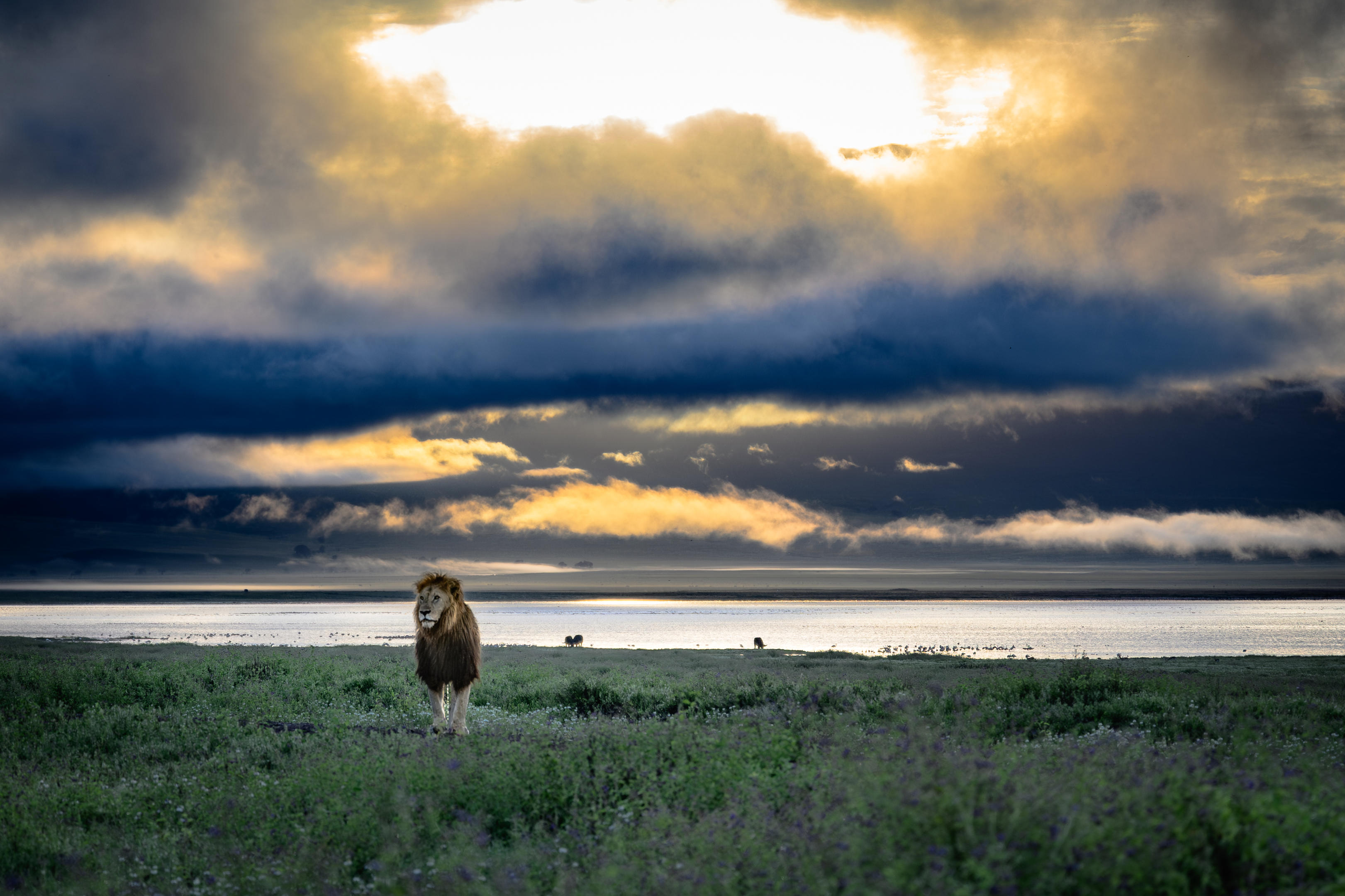Ngorongoro highland safari landscape