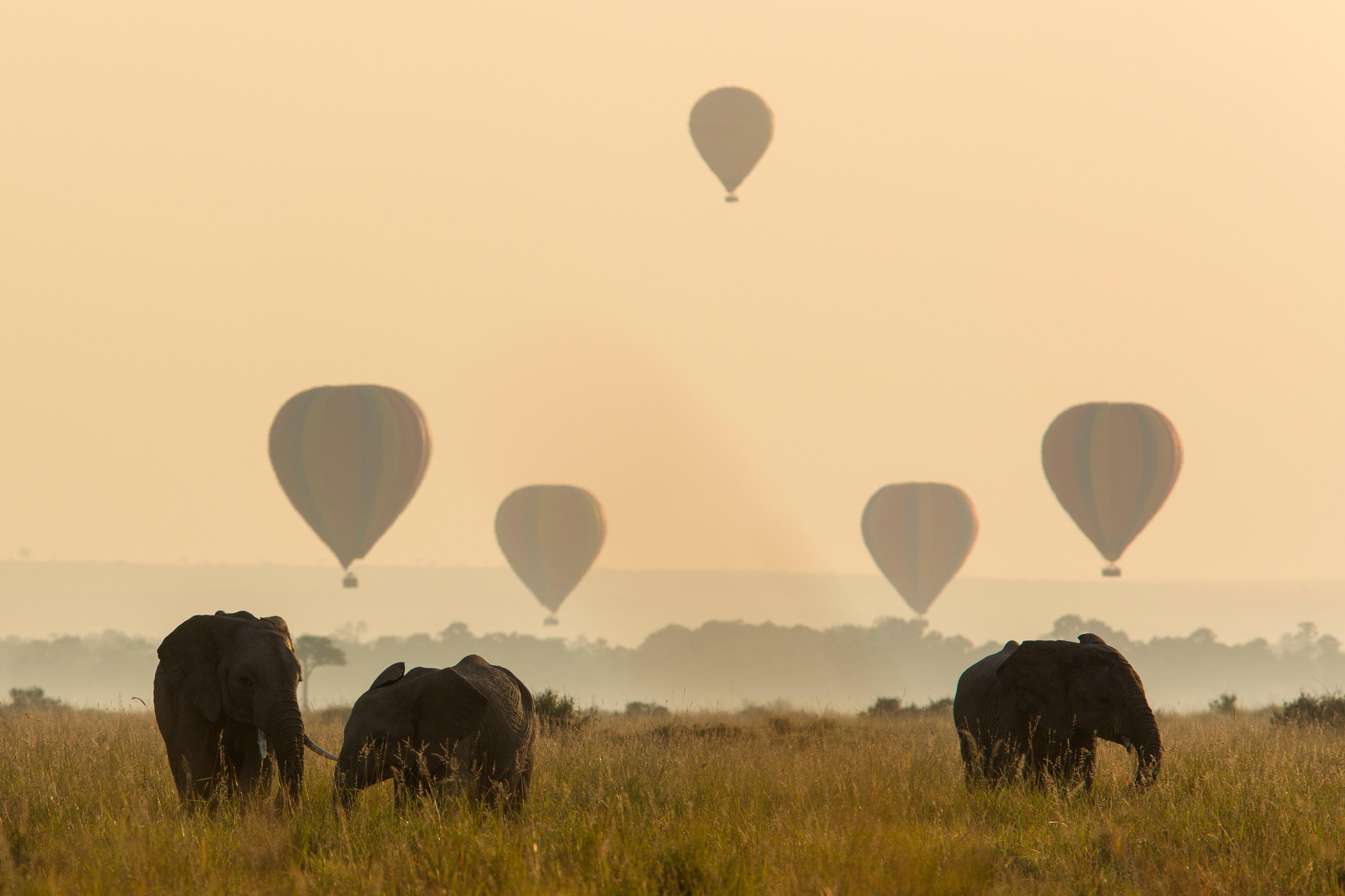 Hot-air balloon floating above the Mara landscape