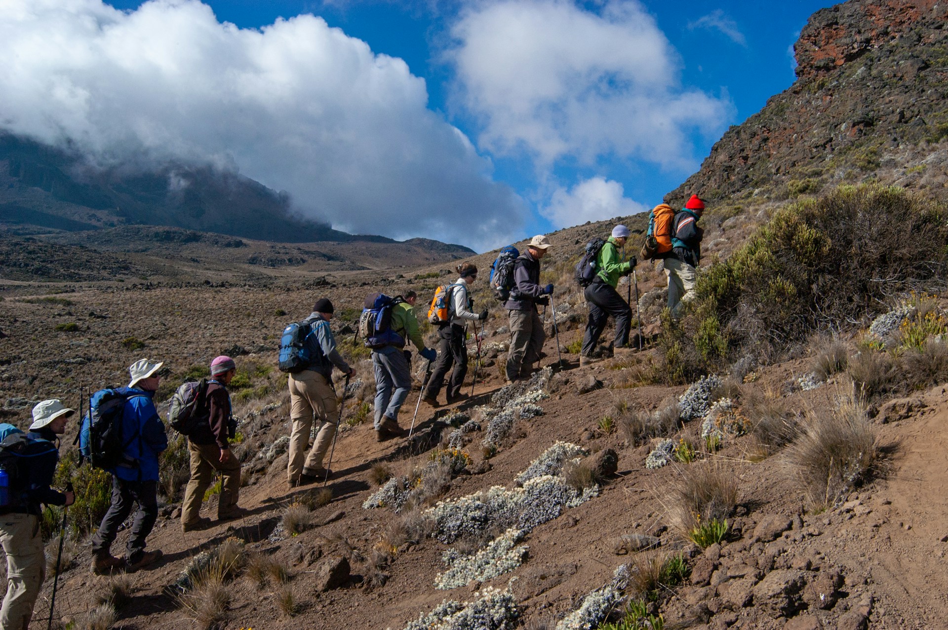 Rongai route alpine landscape
