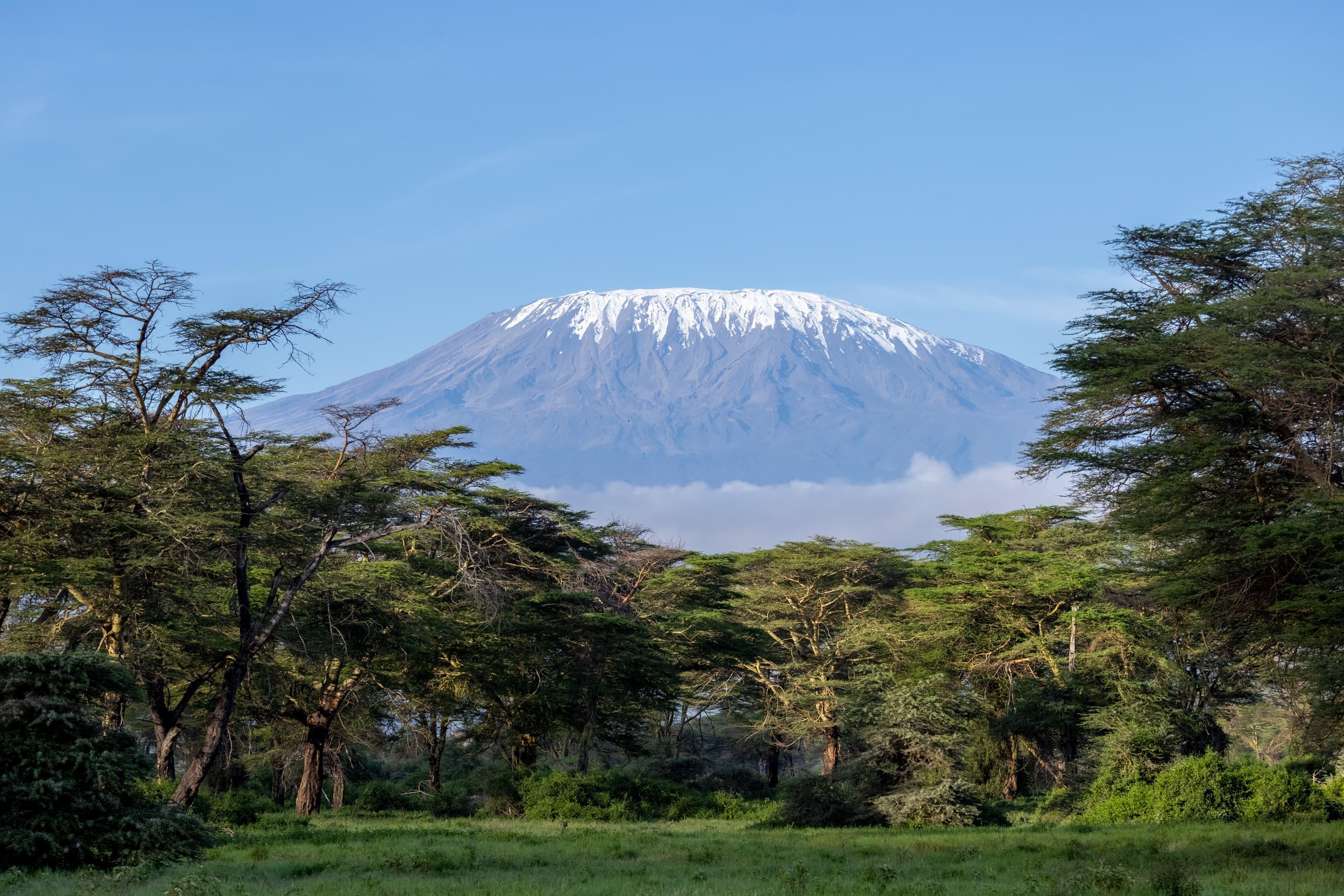 11 Days Climb & Safari