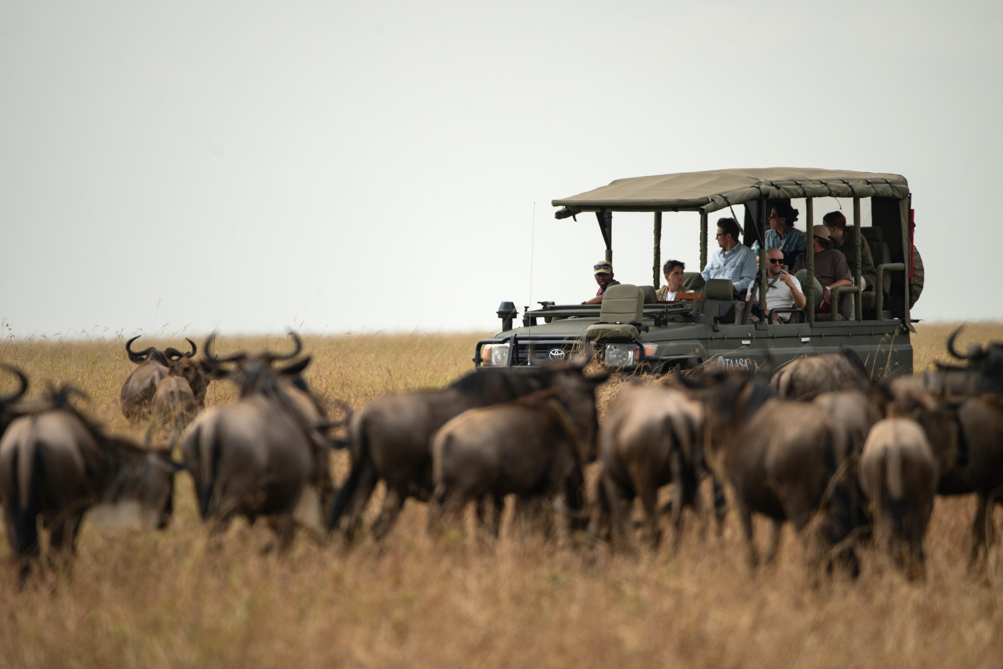 Private safari vehicle on a game drive in Ndutu