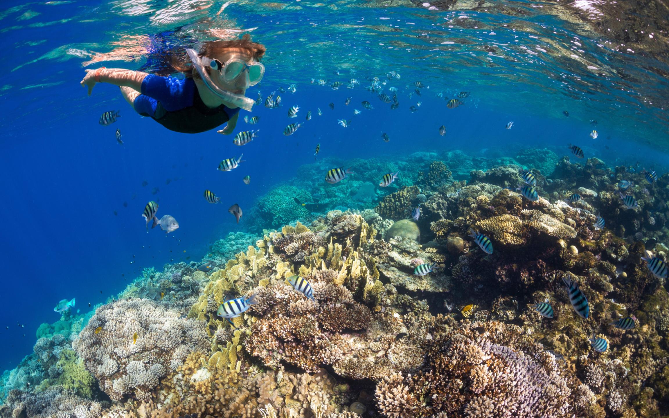 Clear reef water around Zanzibar
