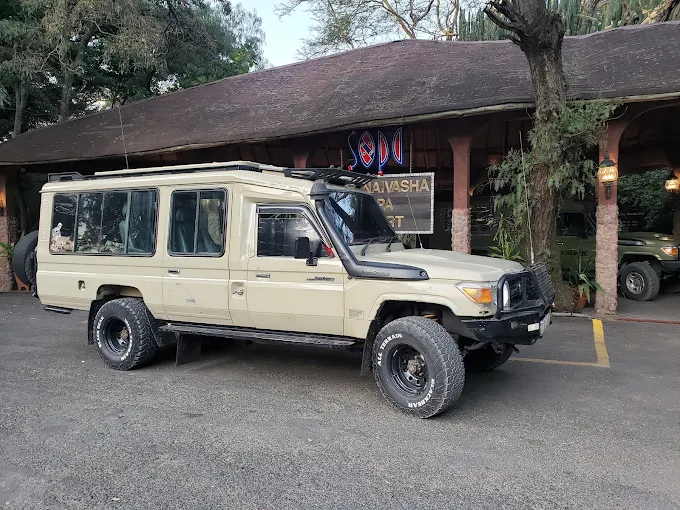 Safari vehicle in Tanzania wilderness