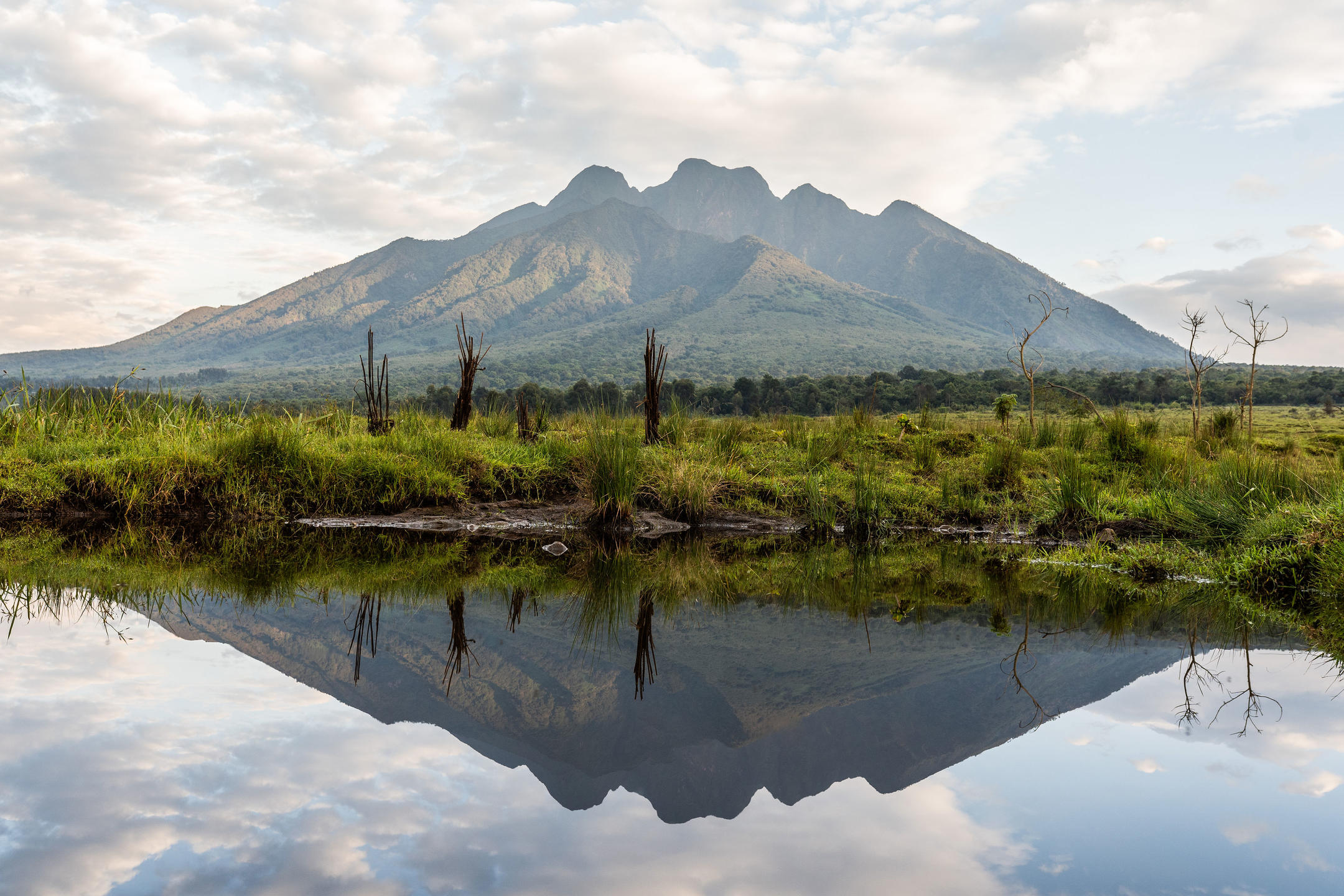 Volcanoes National Park scenery in Rwanda