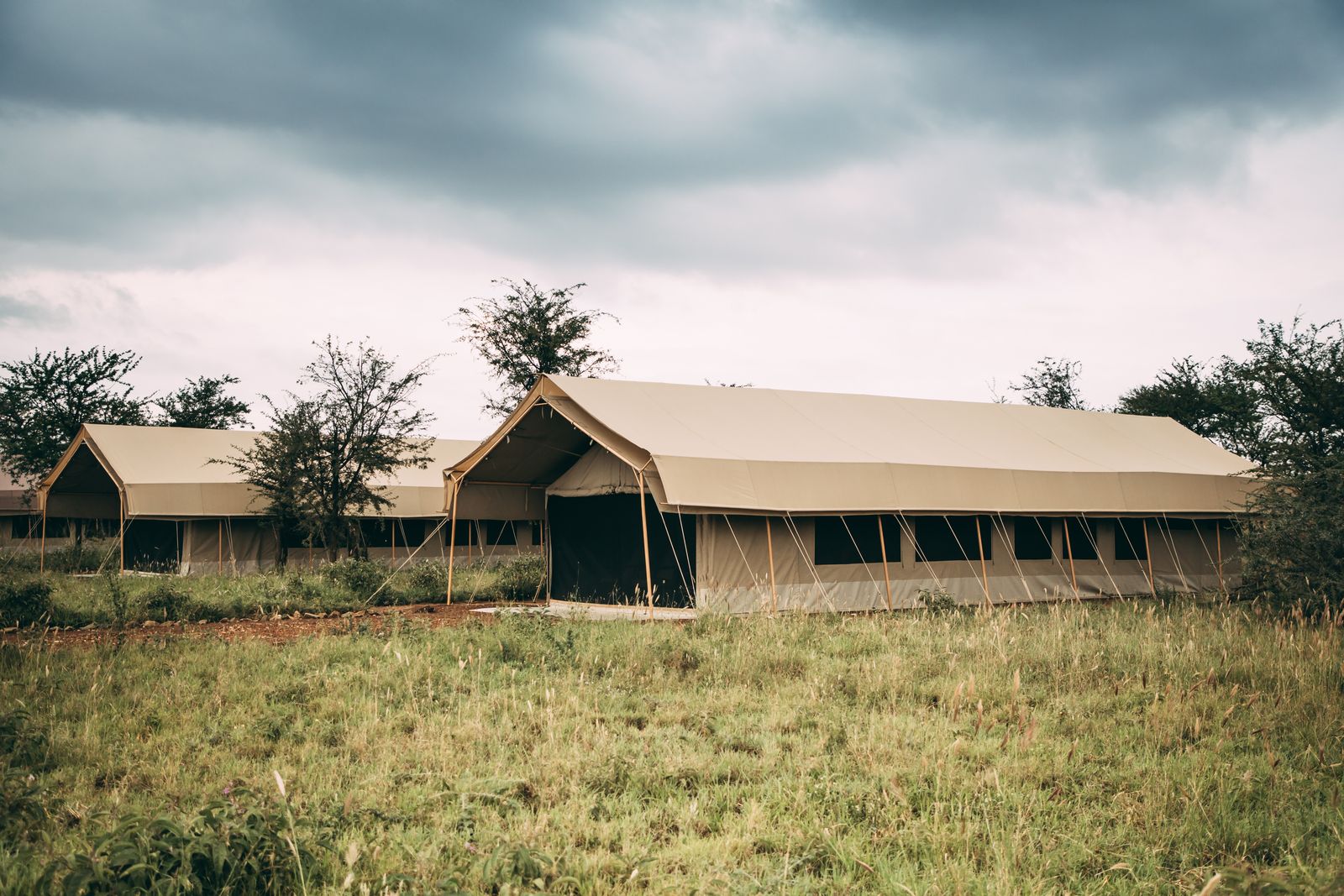 Great Migration River Crossing
