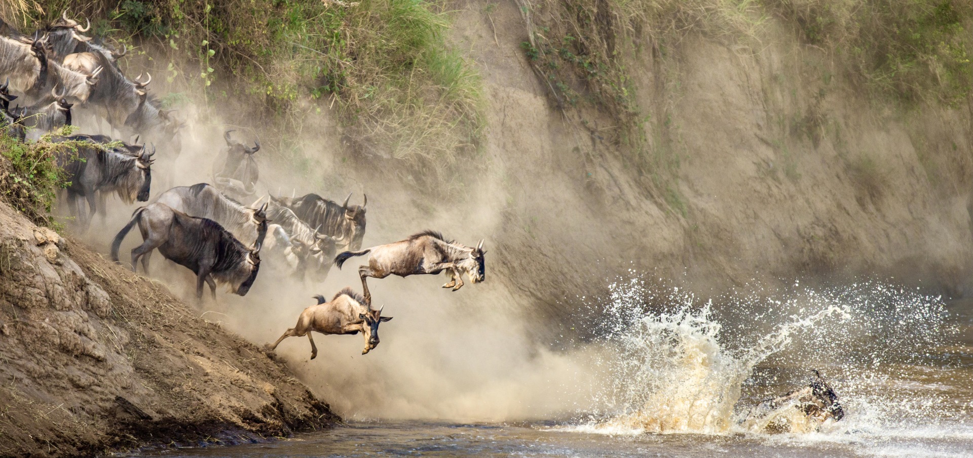Tanzania Great Migration Safari