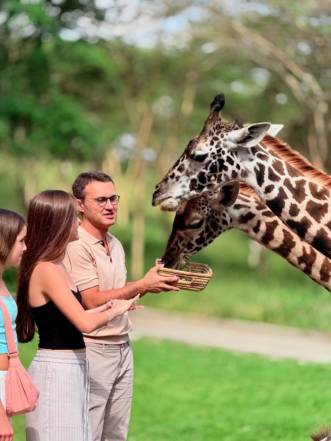 Wildlife Feeding Experience